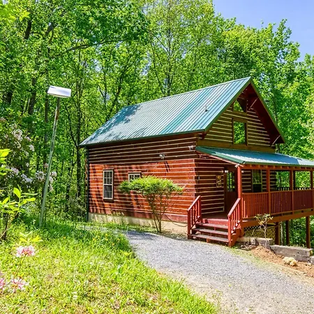 Deer To My Heart, Hot Tub, 1089 Of Free Attraction Tickets For Each Paid Day, Dollywood And More